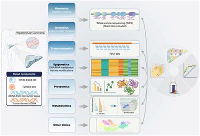 Advances in Multi-Omics Applications in HBV-Associated Hepatocellular Carcinoma